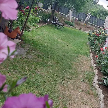 Holiday home смерекова вершина *